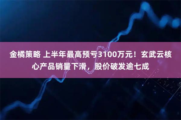 金橘策略 上半年最高预亏3100万元!玄武云核心产品销量下滑,股价破发逾七成